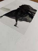 Herb Ritts - Versace, Veiled Dress, El Mirage, 1990