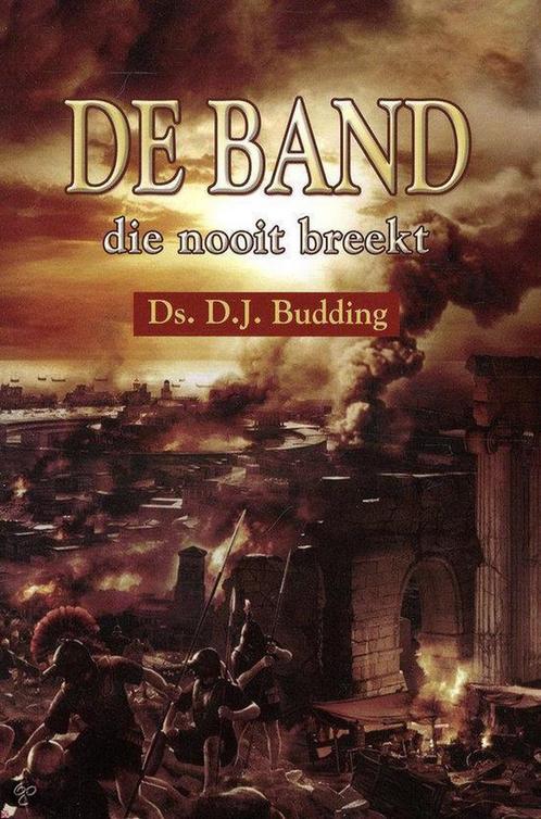 De band die nooit breekt 9789033125430 D.J. Budding, Boeken, Historische romans, Gelezen, Verzenden