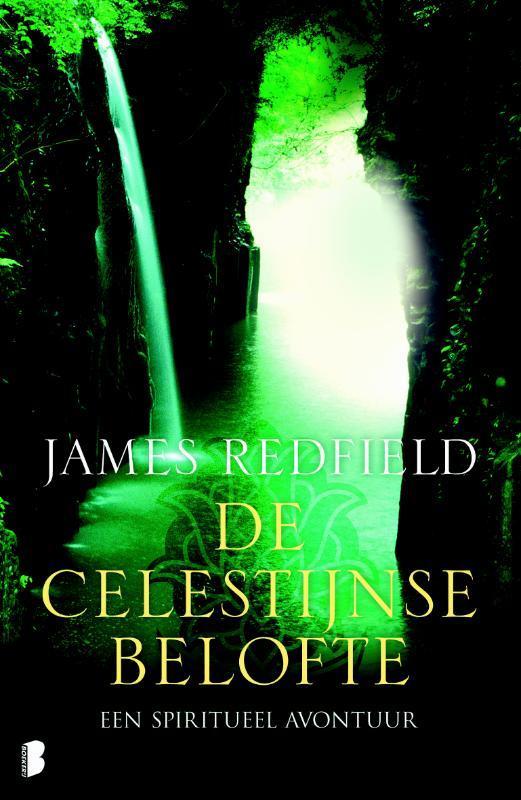 De Celestijnse belofte 9789022558829 James Redfield, Boeken, Romans, Zo goed als nieuw, Verzenden