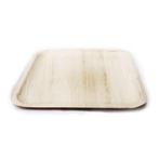 8 inch areca square plate, Sport en Fitness, Ophalen of Verzenden, Nieuw