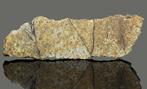 Meteorite Girgenti Plak - 5.35 g - (1), Verzamelen