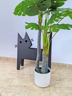 José Soler Art - The Cat KH. Black - No Reserve, Antiek en Kunst, Kunst | Schilderijen | Modern