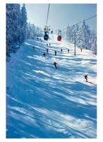 Toni Frissell - Sugarbush Vermont Skiers 1960 Oversize