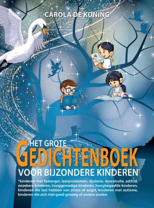 Het Grote Gedichtenboek voor Bijzondere Kinderen, Boeken, Schoolboeken, Zo goed als nieuw, Verzenden