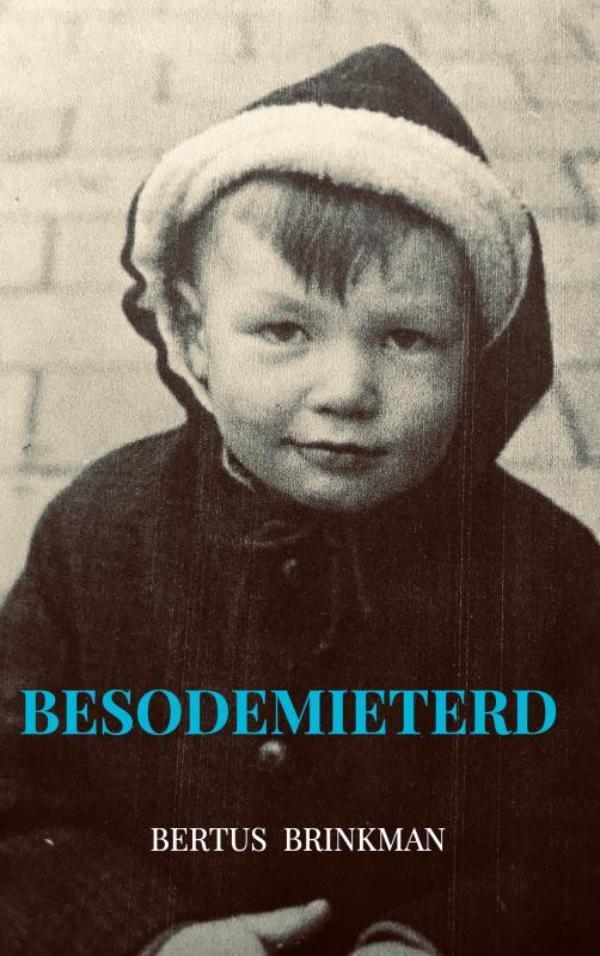 Besodemieterd 9789463981675 Bertus Brinkman, Boeken, Literatuur, Zo goed als nieuw, Verzenden