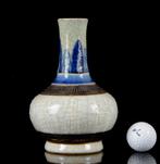 Een Chinese (Nanking) blauw en wit en slipversierde vaas met