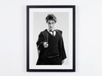Harry Potter and the Prisoner of Azkaban 2004 - Fine Art, Verzamelen, Film en Tv, Nieuw