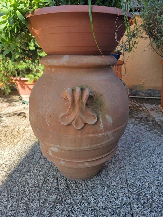 Vaas - Terracotta - orcio giardino h 60, Antiek en Kunst, Curiosa en Brocante