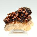 VANADINITE sur BARITE noire, plus de 100 cristaux rouge Sang, Verzamelen