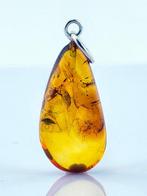 Ambre - Rare BALTIC AMBER Teardrop Pendant – MOSQUITO with