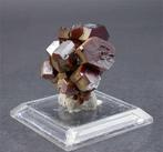 Vanadinite Collection de cristaux- 60 g - (2)