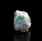 Zeldzame smaragd op Matrice - 95,21 ct – SWAT GEEN