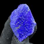 Geen reserveprijs ~ Natuurlijke lapis lazuli ruwe stenen –