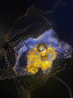 Caroline Schilling -  LUMIÈRE SAUVAGE  - Pièce signée à la