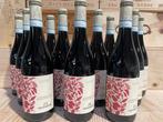 2020 Montresor Bardolino Bio - Bardolino - 12 Bouteilles, Nieuw