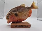 Piranha Support de corps entier pour taxidermie -
