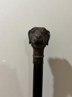Wandelstok - Hout, Brons - Cane houten, bronzen hond