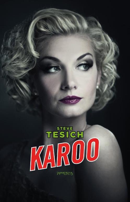 Karoo 9789044623857 Steve Tesich, Boeken, Romans, Gelezen, Verzenden