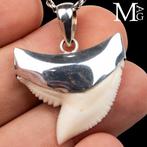 Tijgerhaai tandhanger in 925 sterling zilver - NIET