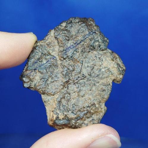 Pas de prix de réserve - PRIMITIVE NON GROUPÉE ACHONDRITE., Verzamelen, Mineralen en Fossielen