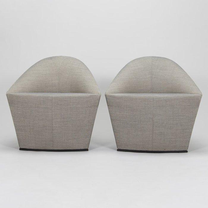 Arper - Lievore Altherr Molina - Fauteuil (2) - heuvel -, Antiek en Kunst, Antiek | Meubels | Stoelen en Sofa's