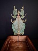 Phasme Support de corps entier pour taxidermie - Phyllium