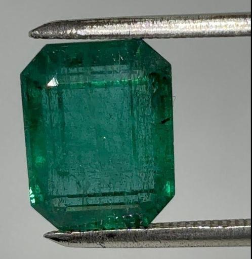 1 pcs  Groen Smaragd  - 11.00 ct - International Gemological, Handtassen en Accessoires, Edelstenen