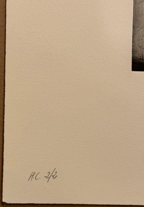 Alaleh Alamir (1959) - Les Fleurs qui mont fait du Bien, Antiek en Kunst, Antiek | Overige Antiek