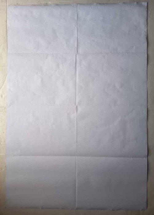 Drew Struzan - Harry Potter and the Sorcerers Stone - RARE, Verzamelen, Film en Tv