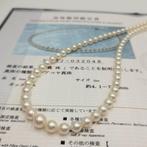 Zonder minimumprijs - Halsketting Zilver Parel - Akoya, Nieuw