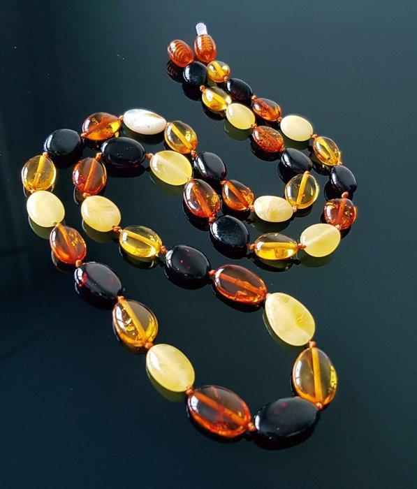 Amber Ketting - Echt multikleurig Baltisch amberketting met, Collections, Minéraux & Fossiles