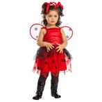 Lieveheersbeestje Kostuum Meisje 3-4 Jaar, Kinderen en Baby's, Carnavalskleding en Verkleedspullen, Verzenden, Nieuw