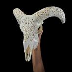 Geen minimumprijs - Wit ramskull op standaard met