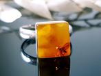 Bague en ambre naturel balte rare avec inclusion dinsecte, Verzamelen
