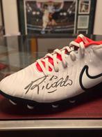 FC Barcelona - Fussballschuh - Rivaldo - 2024 -, Verzamelen, Nieuw