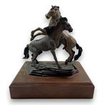 Wally Shoop - sculptuur, Winner Take All I - 34 cm - Brons,