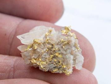Or Cristaux dans une matrice de quartz - Australie - pépite