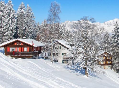 Heerlijk vakantiehuis te huur voor uw wintersport!, Vacances, Maisons de vacances | Autriche