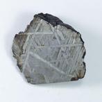 Aletai Geen minimumprijs IJzer meteoriet - 47.3 g