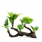 Kunstplanten op hout OS-226 - aquarium decoratie, Dieren en Toebehoren, Ophalen of Verzenden, Nieuw, Sierelement