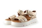 Geox Sandalen in maat 37 Goud | 5% korting, Kleding | Dames, Schoenen, Geox, Overige kleuren, Verzenden, Sandalen of Muiltjes