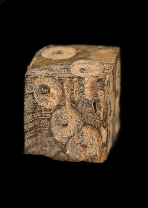 Oud-Romeins Been Die (Zonder Minimumprijs), Antiek en Kunst, Antiek | Overige Antiek