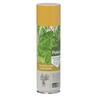 Pokon bladglans (Natuurlijke glans, 250 ml), Jardin & Terrasse, Alimentation végétale, Envoi