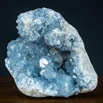 Grote natuurlijke celestiet met grote kristallen Geode-