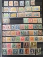 Monténégro 1890/1915 - Extensive collection, Postzegels en Munten, Postzegels | Europa | Oostenrijk, Gestempeld