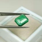1 pcs Groen Smaragd - 2.17 ct - International Gemological, Nieuw