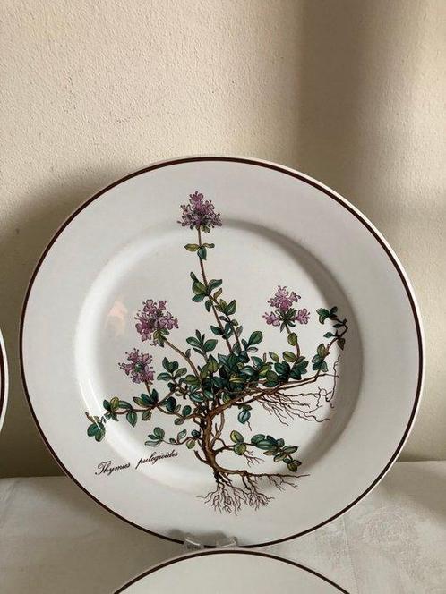 Villeroy & Boch - Tafelservies (6) - Botanica - Porselein -, Antiek en Kunst, Antiek | Meubels | Tafels