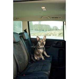 Harnais de sécurité pour la voiture, 44-55cm, Animaux & Accessoires, Accessoires pour chiens
