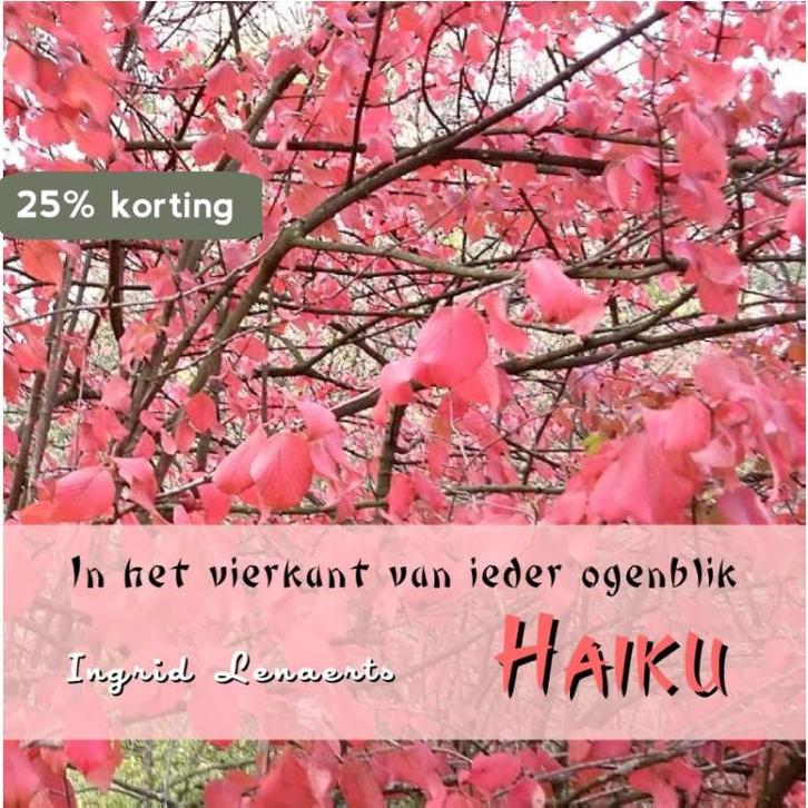 In het vierkant van ieder ogenblik 9789078459798, Boeken, Gedichten en Poëzie, Zo goed als nieuw, Verzenden