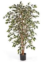 Kunstplant Ficus Nitida Mixed 210 cm, Verzenden